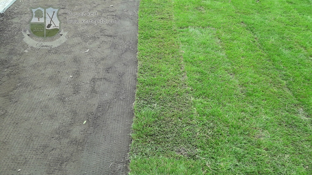 Vakondháló telepítése gyepszőnyeg alá a Durucz Kert szakembereivel