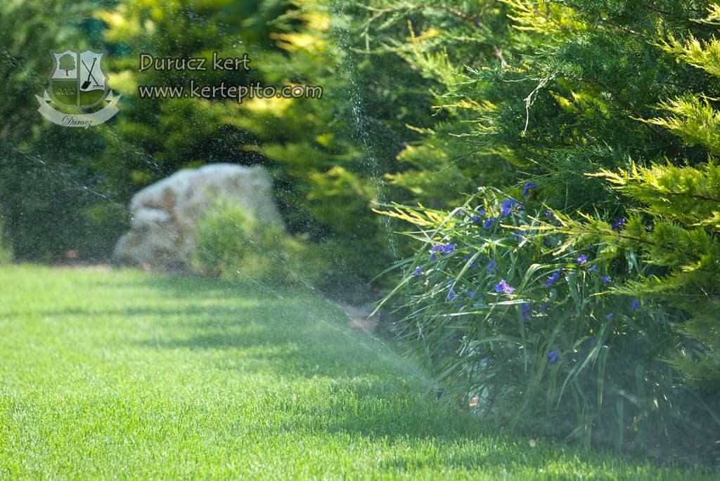 Kert öntözése szivárgó rendszerrel, zöld növények és gyep a kertben.