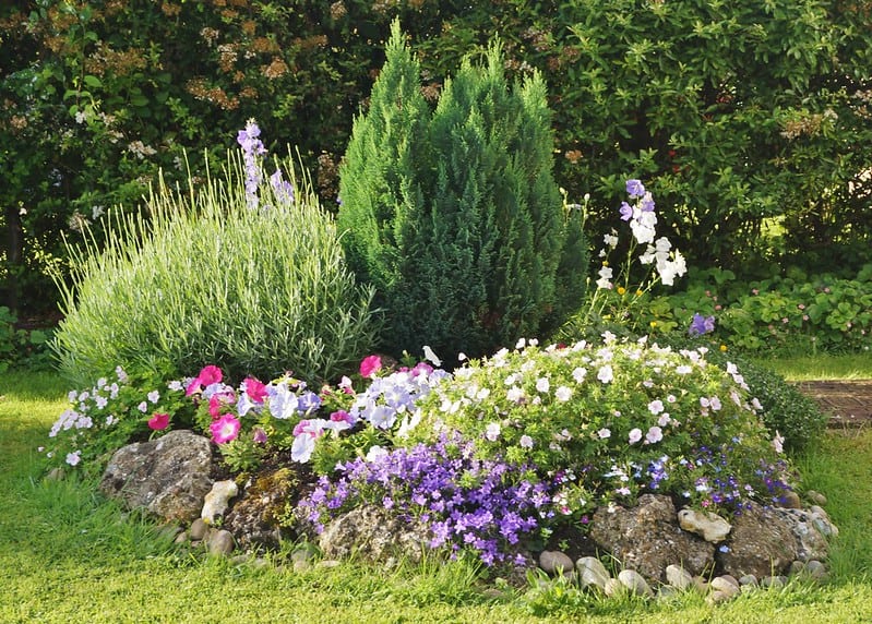 Sziklakert, mint dekoratív kertészeti elem, különböző növényekkel és kövekkel kialakítva.