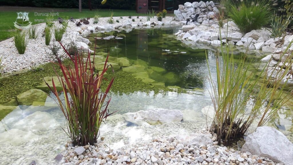 Kerti tó építése növényekkel és sziklás környezettel.