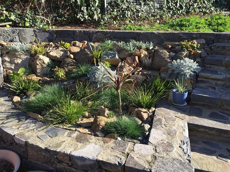 Kézben épített sziklakert különböző növényekkel és kőburkolattal.