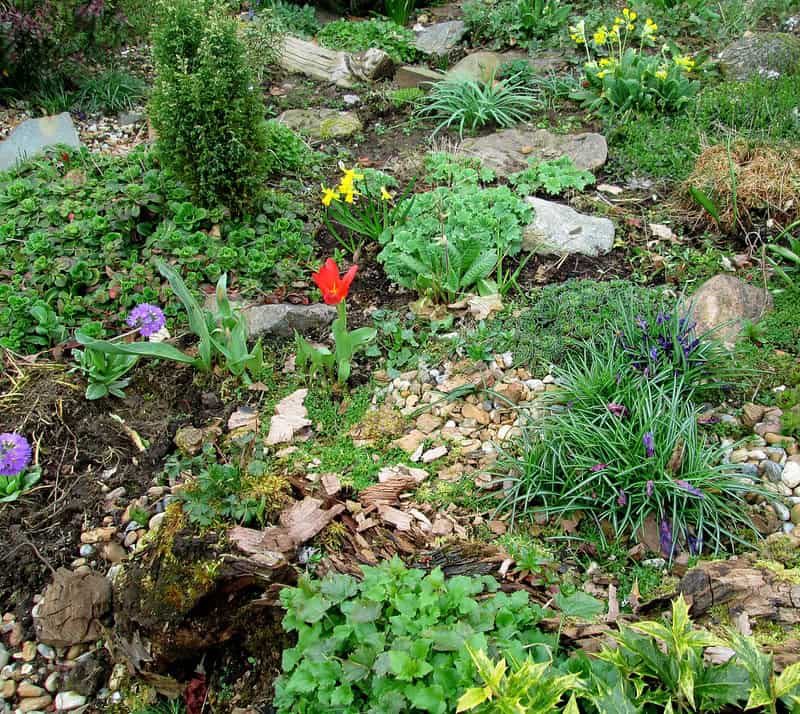 Sziklakert, kő és növények kombinációja a természetes kertépítésben.