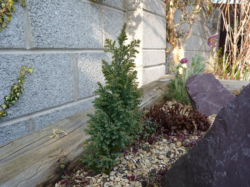 Kertépítés sziklakerttel, növényekkel és kőburkolattal.