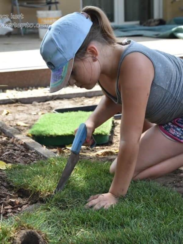 Gyerek lány füvesítést végez a kertben, játék közben.