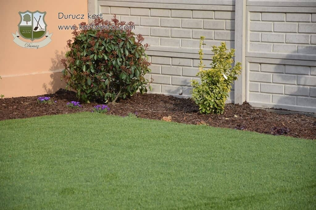 Ápolt növények és friss zöld fű a kertben.