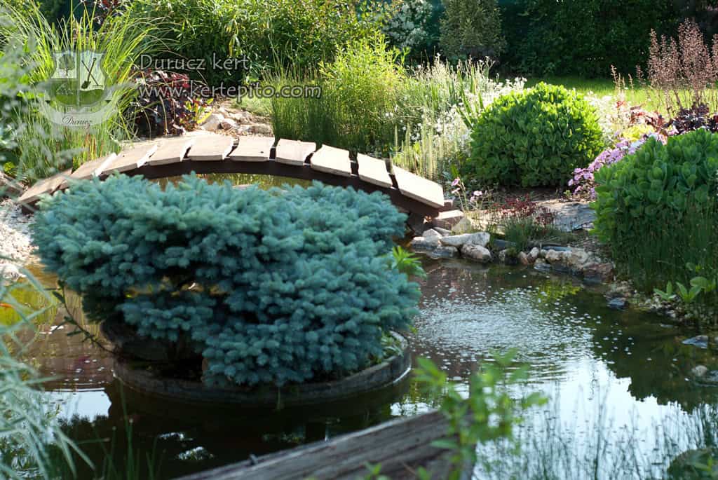 Álomszerű kerti tó kialakítása és gondozása szakértőkkel.