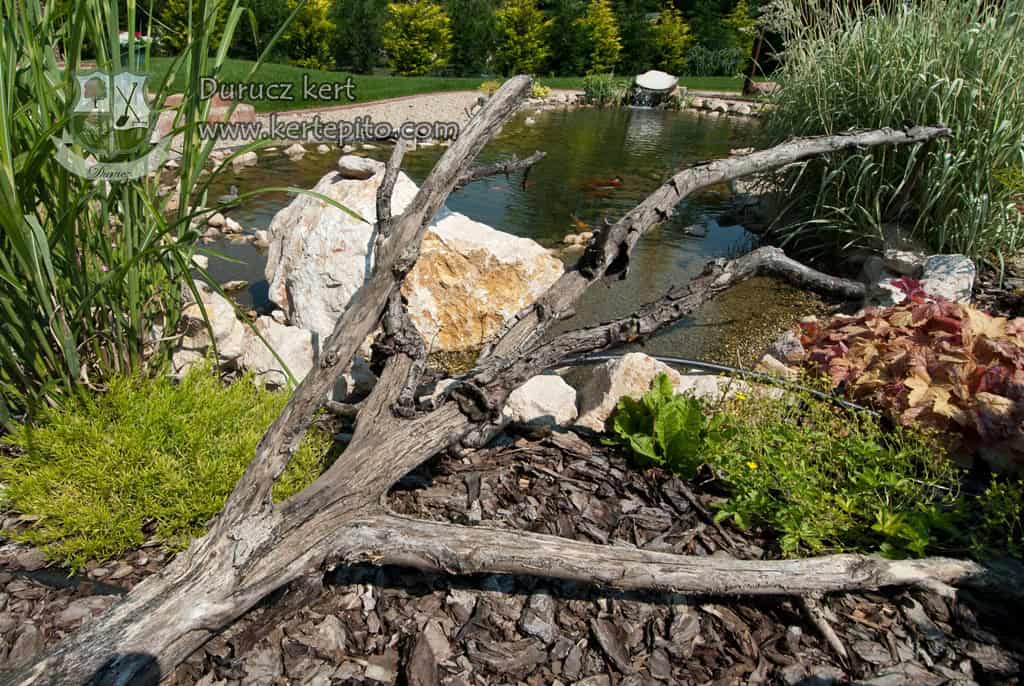 Álmodja meg és valósítsa meg saját kerti tavát szakértőink segítségével.