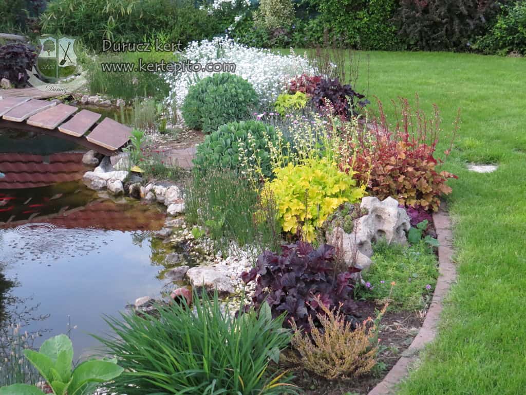 Kerti tó és színes növények a kertben, professzionális kivitelezéssel.