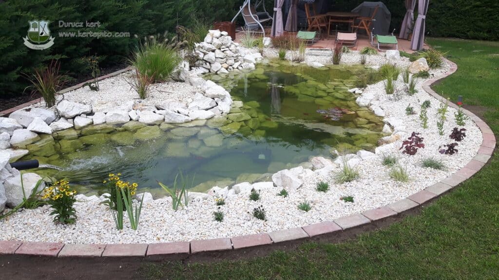 Kerti tó építés: vízmedence kialakítása és növények telepítése.