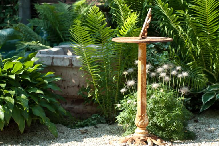 Az árnyékos kertben egy régi madárijesztő áll, körülötte zöld növények és fűszernövények.