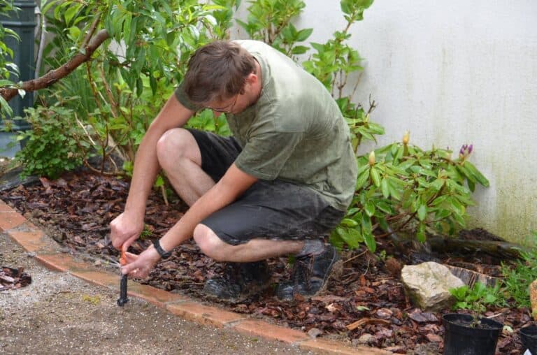 Az öntözőrendszer telepítésének ideje, mikor nem halogatható, a növények és a kert vízellátásának bi.